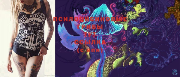 mdma Бородино